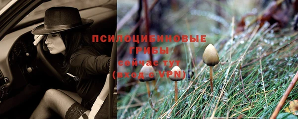 прущие крисы Абдулино