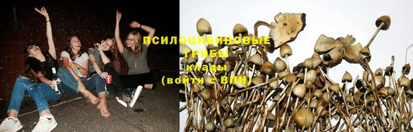 MESCALINE Абаза