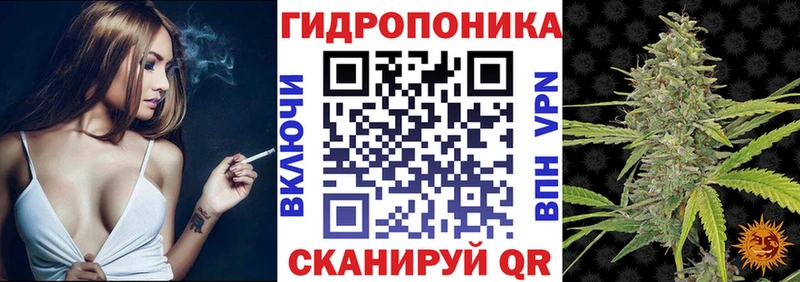 сколько стоит Грайворон Марихуана планчик